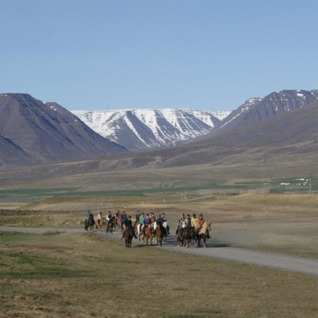 Skagafjörður - Pferdreiten in Skagafjörður